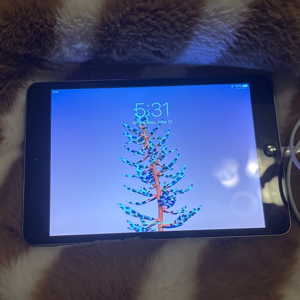 Apple iPad - iPad mini 2 silver and black